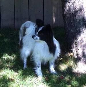 Meet your Posher, Roberta